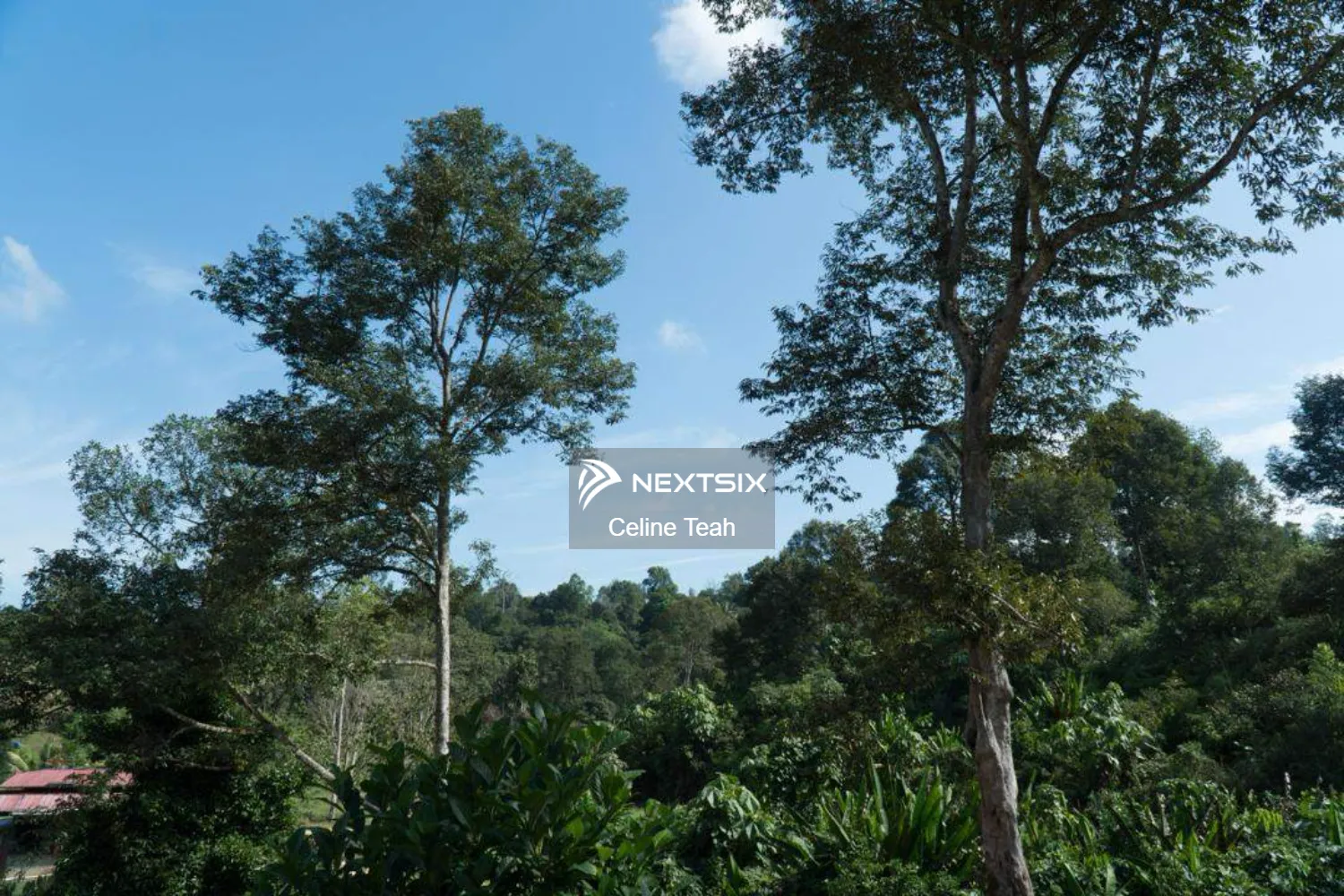 Agricultural Land For Sale in Papar Sabah - Image 10