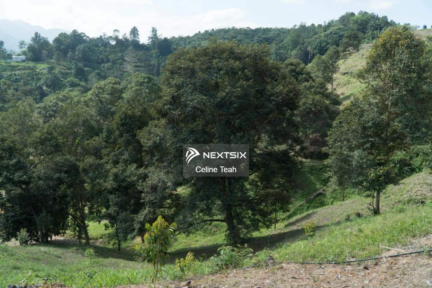 Agricultural Land For Sale in Papar Sabah - Image 13