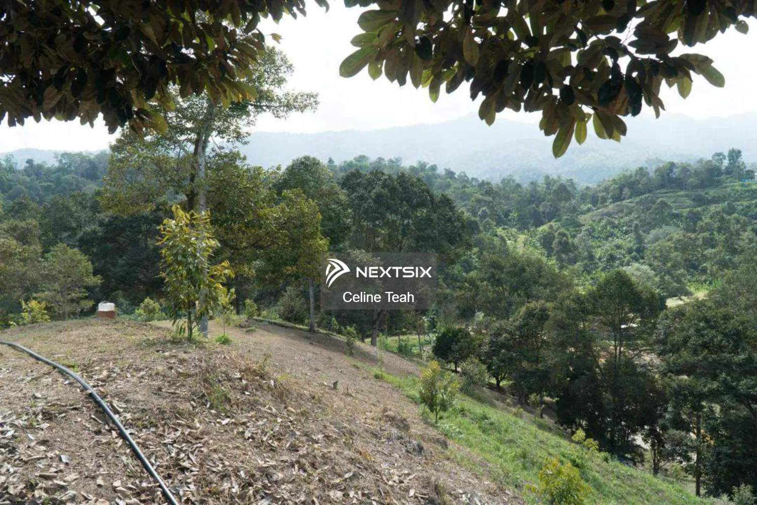 Agricultural Land For Sale in Papar Sabah - Image 15