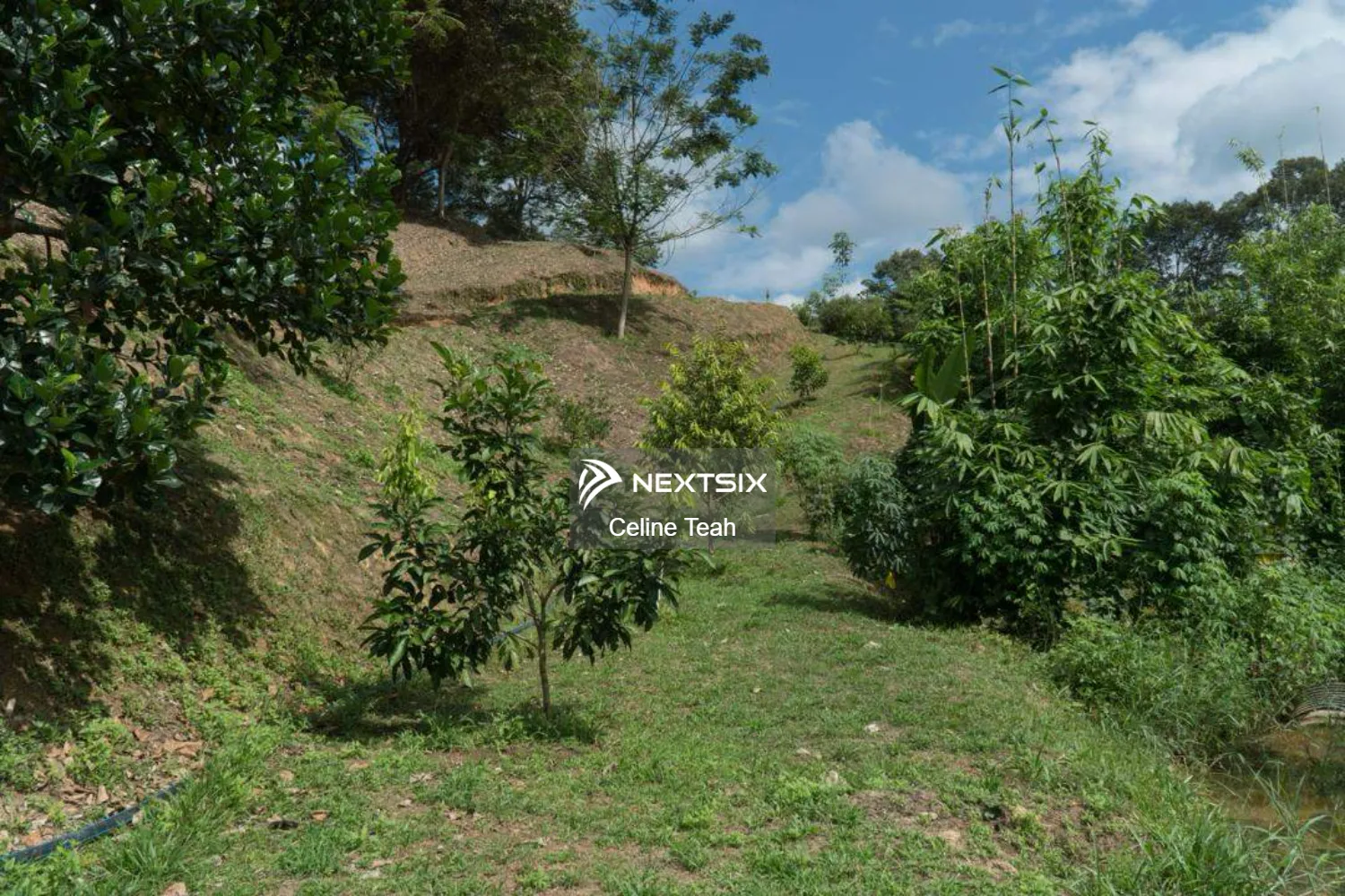 Agricultural Land For Sale in Papar Sabah - Image 6