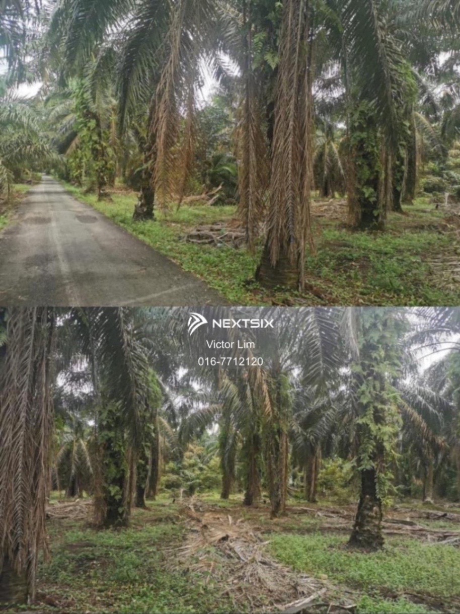 Agricultural Land For Sale in Simpang Rengam Johor