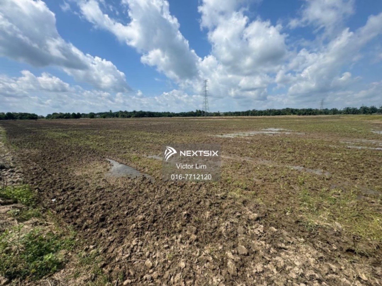 Agricultural Land For Sale in Mersing Johor - Image 3