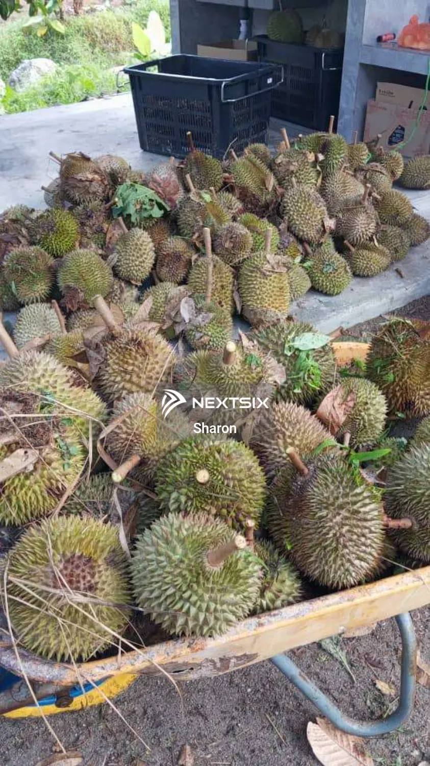 Agricultural Land For Sale in Kajang Selangor