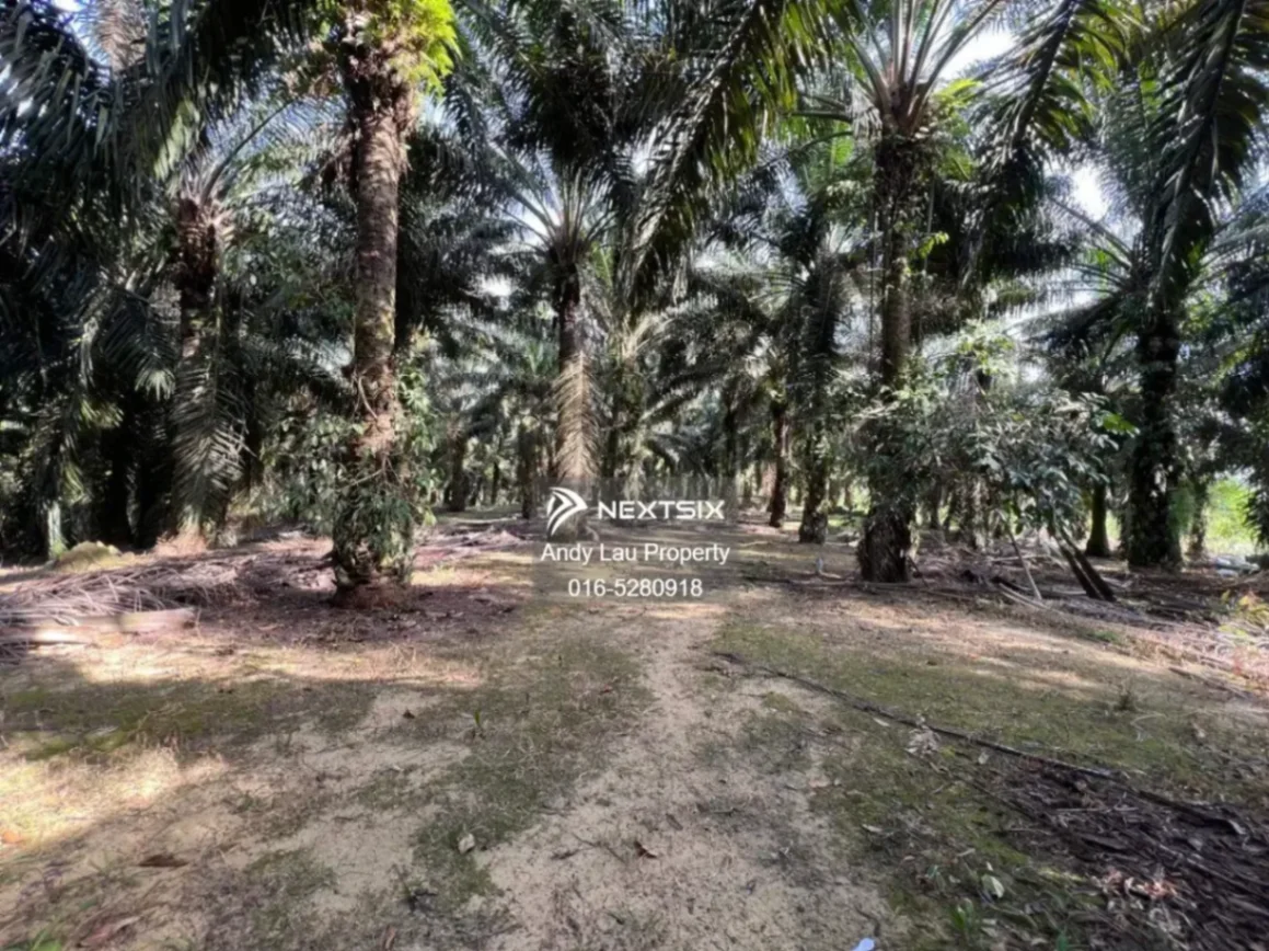 Industrial Land For Sale in Kulai Johor