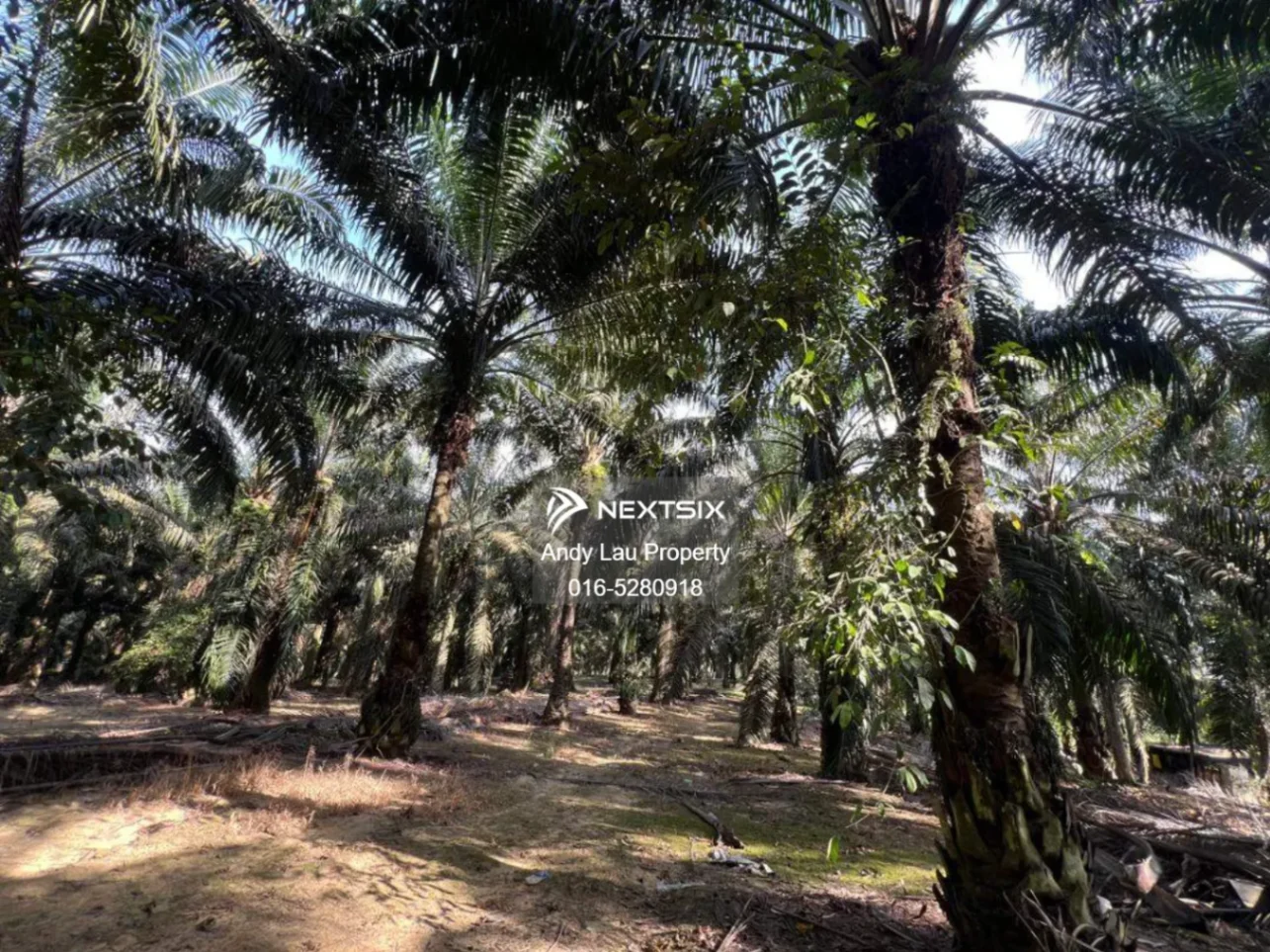 Industrial Land For Sale in Kulai Johor - Image 2