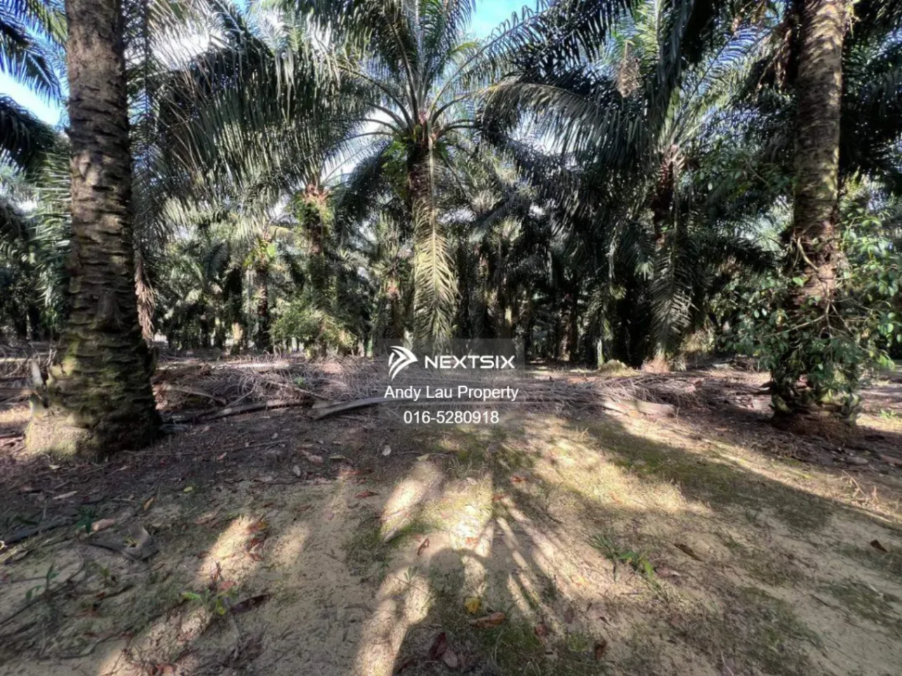 Industrial Land For Sale in Kulai Johor - Image 3