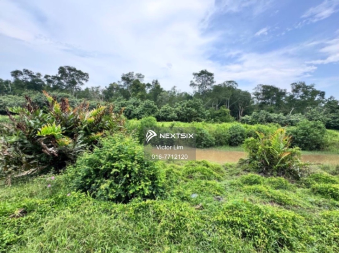 Agricultural Land For Sale in Pontian Johor - Image 6