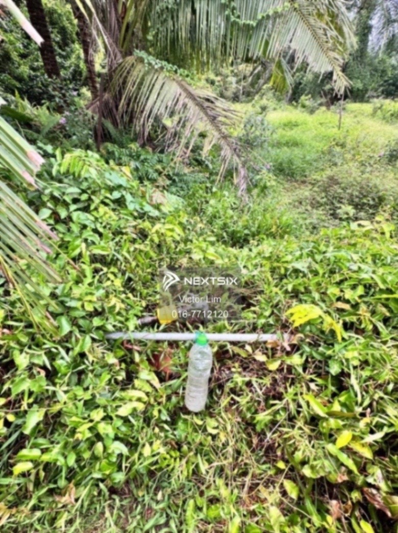 Agricultural Land For Sale in Pontian Johor - Image 8