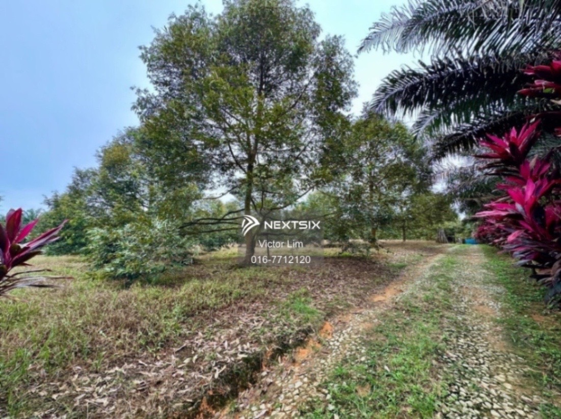 Agricultural Land For Sale in Kulai Johor - Image 6