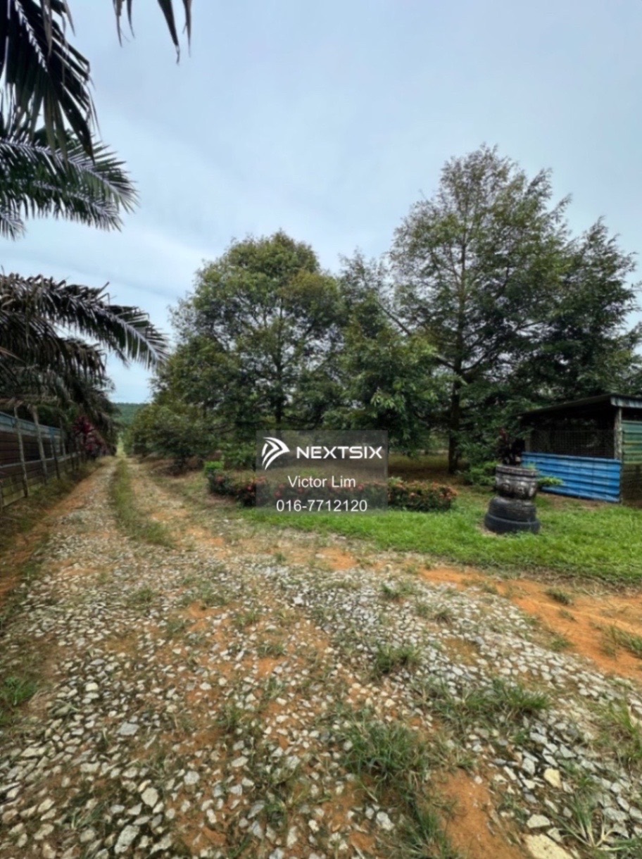 Agricultural Land For Sale in Kulai Johor - Image 8