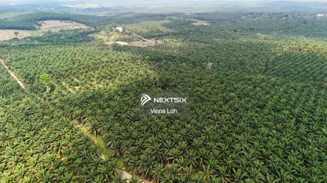 Agricultural Land For Sale in Kota Tinggi Johor