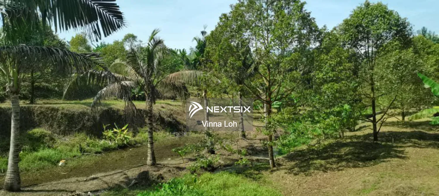 Agricultural Land For Sale in Senai Johor