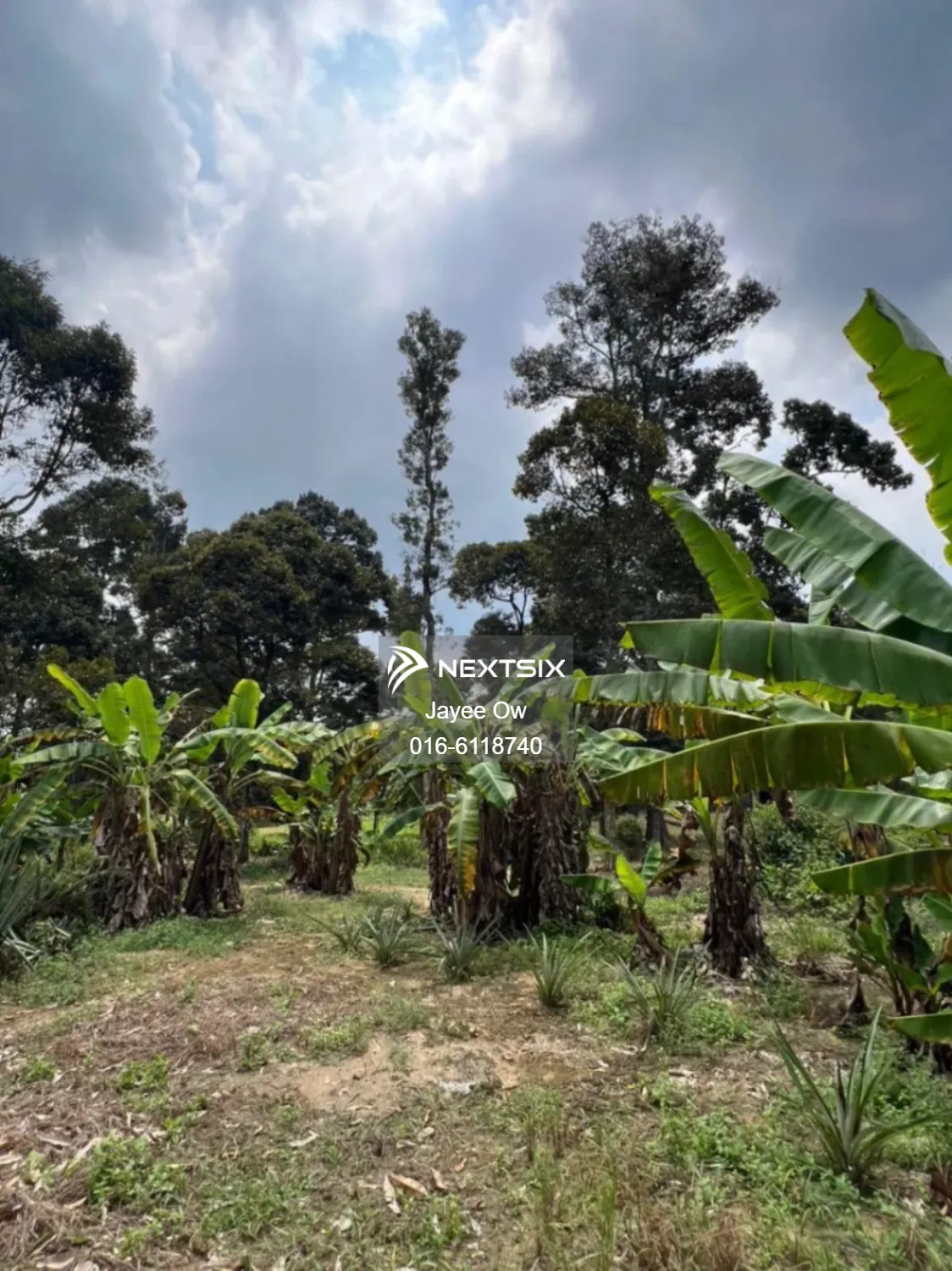 Agricultural Land For Sale in Semenyih Selangor - Image 6