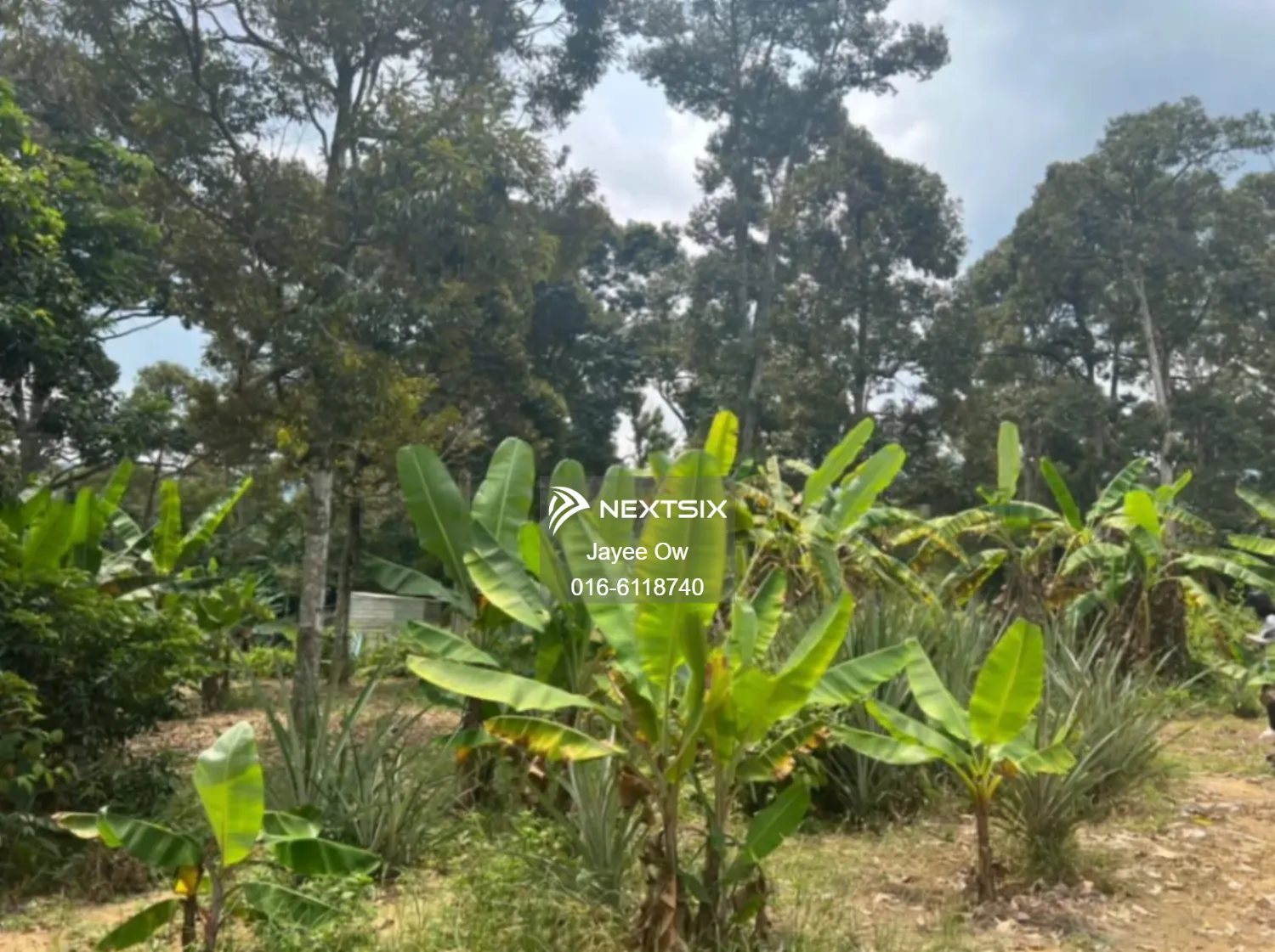 Agricultural Land For Sale in Semenyih Selangor - Image 7