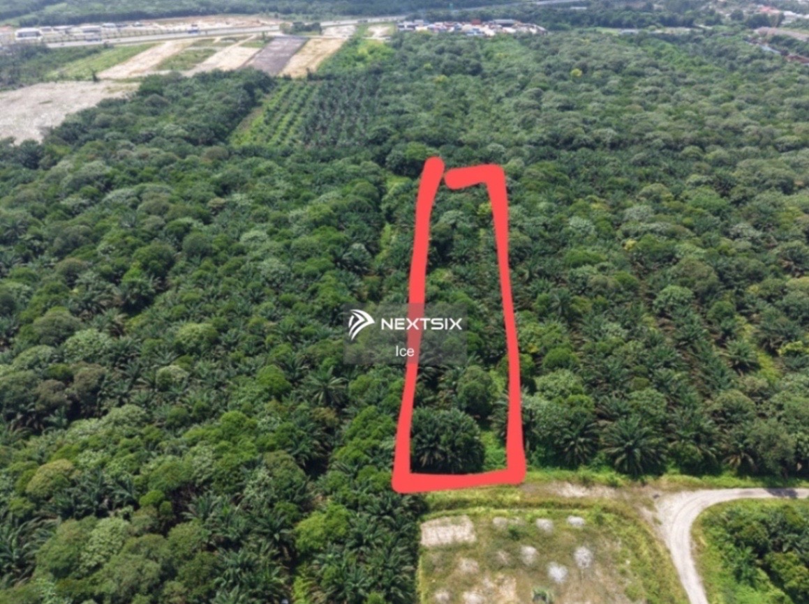 Agricultural Land For Sale in Kuala Langat Selangor - Image 5