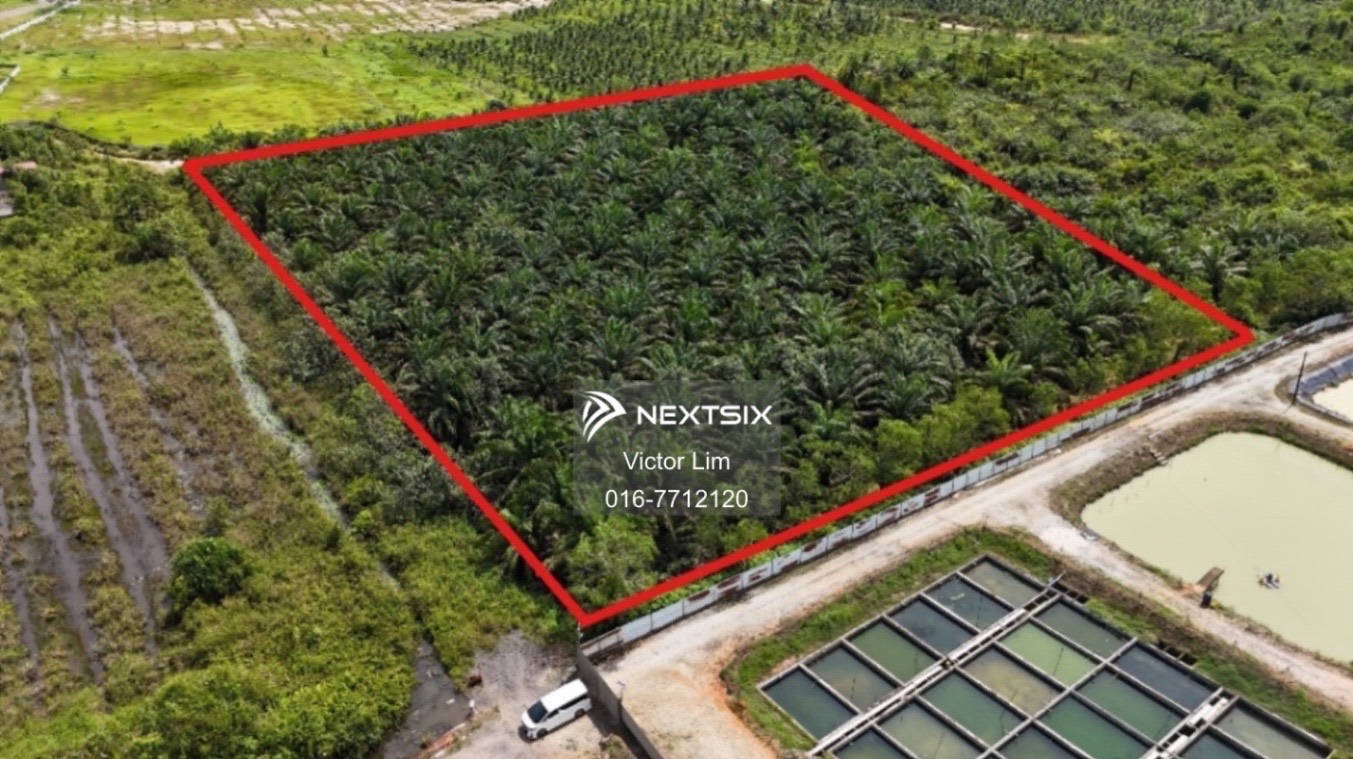 Agricultural Land For Sale in Kota Tinggi Johor