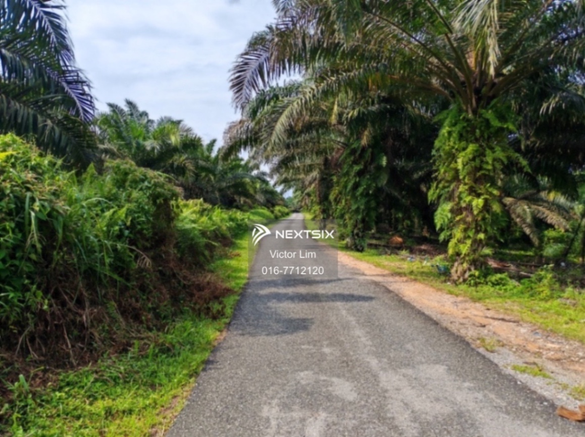 Agricultural Land For Sale in Kota Tinggi Johor - Image 5