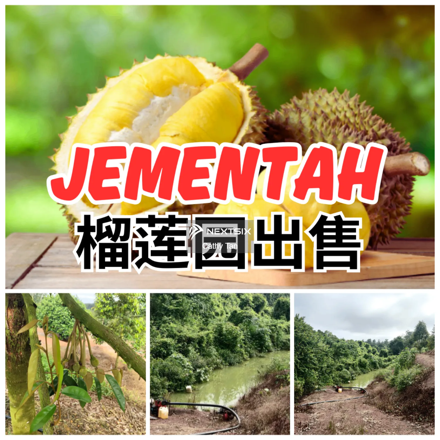 Agricultural Land For Sale in Jementah Johor