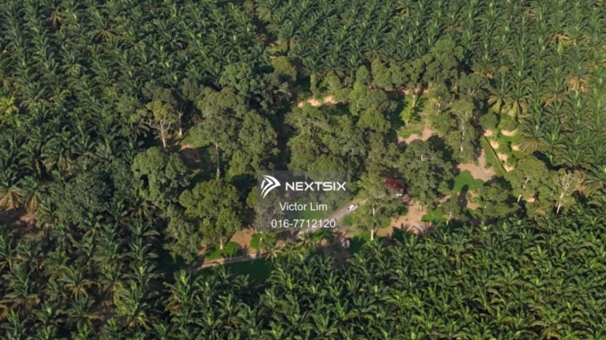 Agricultural Land For Sale in Kota Tinggi Johor