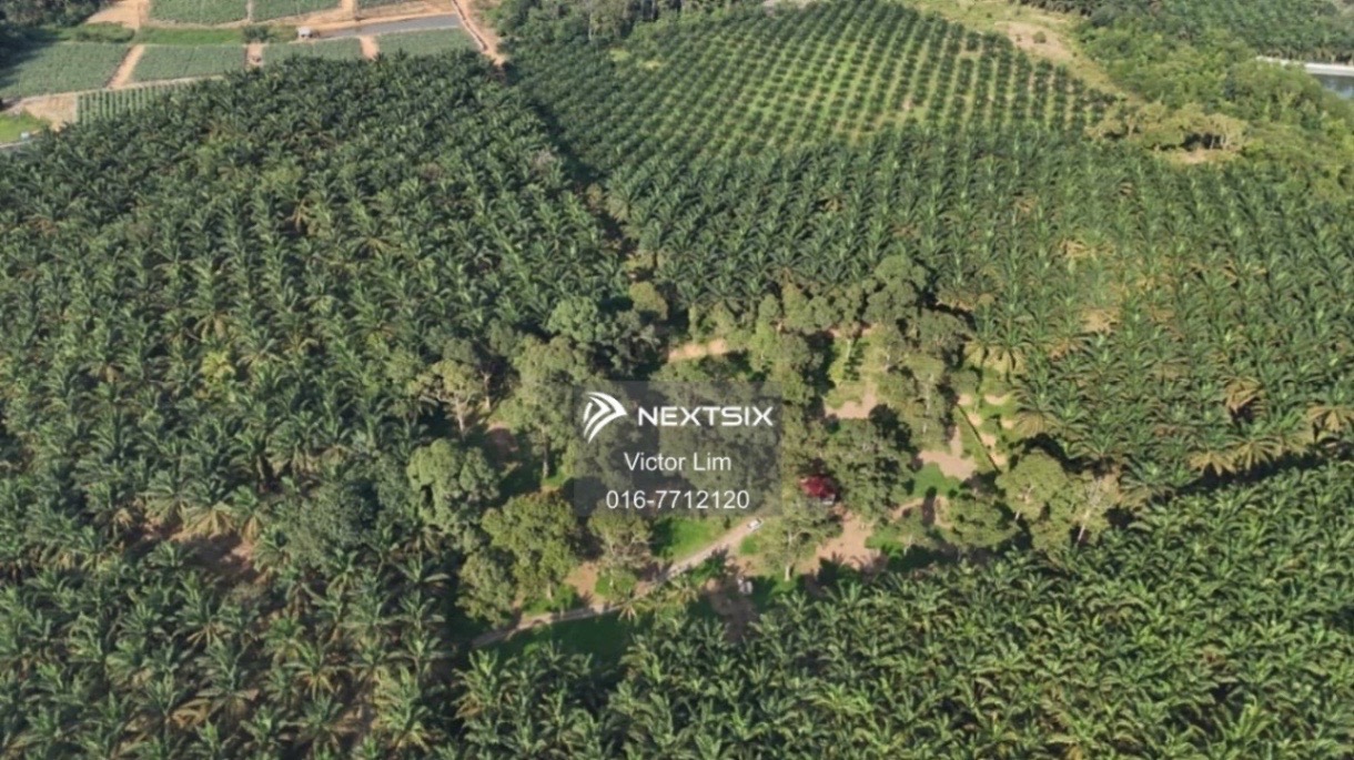 Agricultural Land For Sale in Kota Tinggi Johor - Image 6