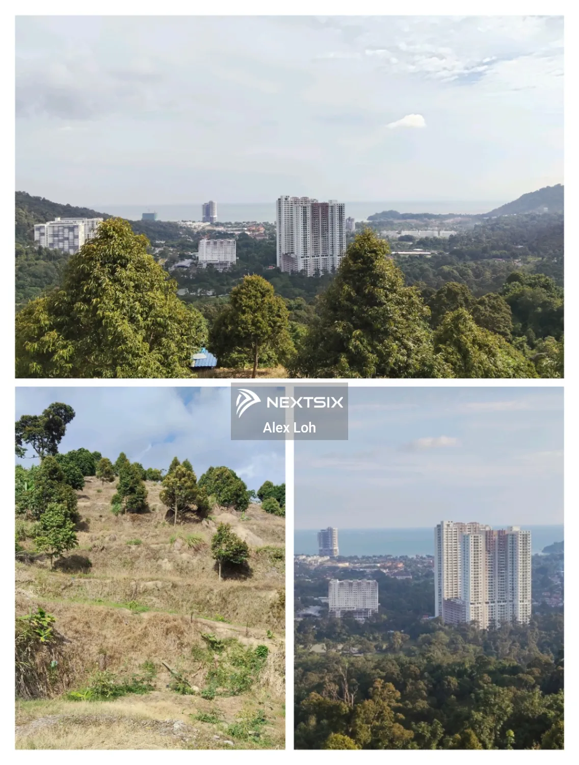 Agricultural Land For Sale in Bayan Lepas Penang