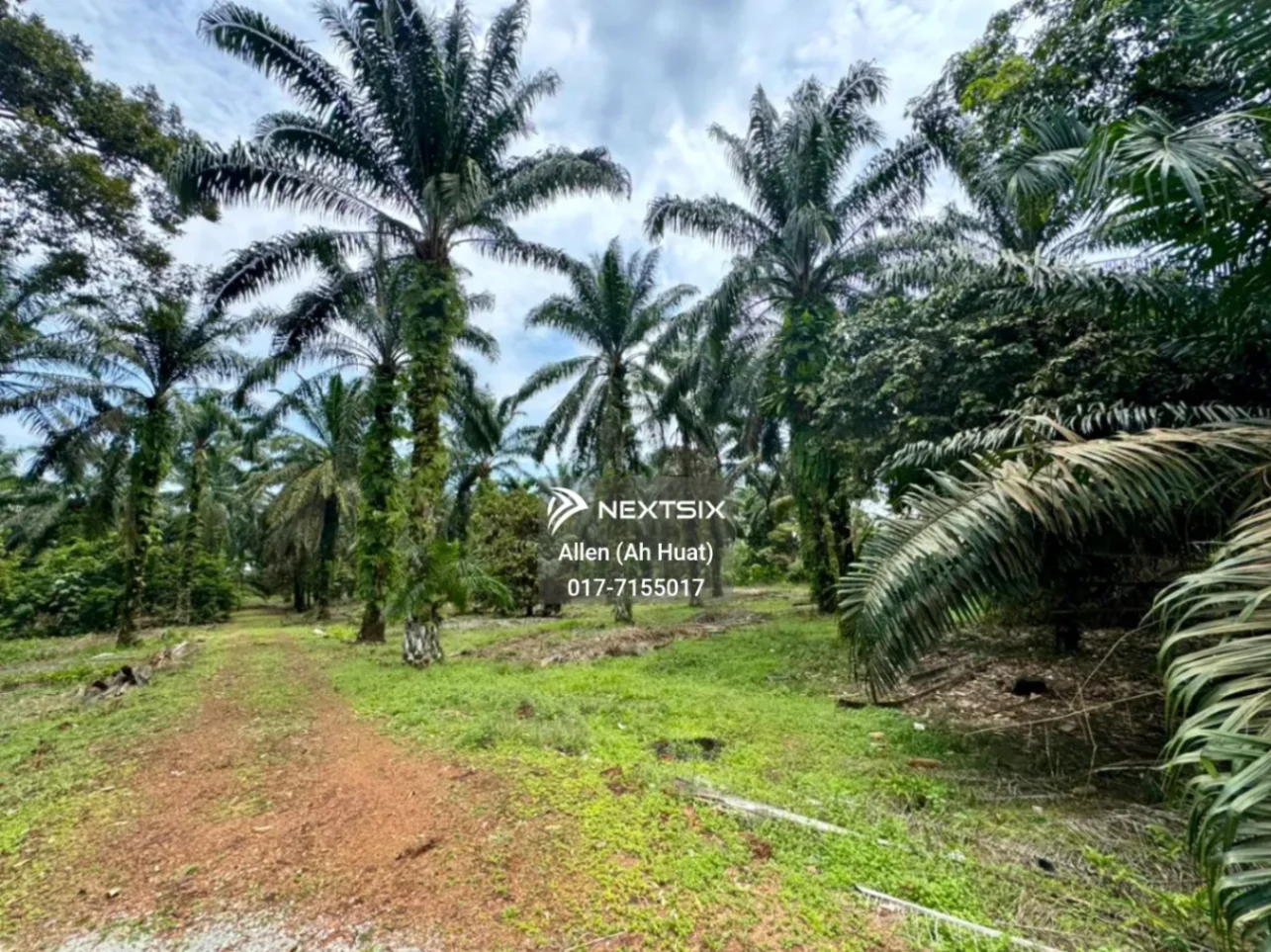 Industrial Land For Sale in Pekan Nanas Johor