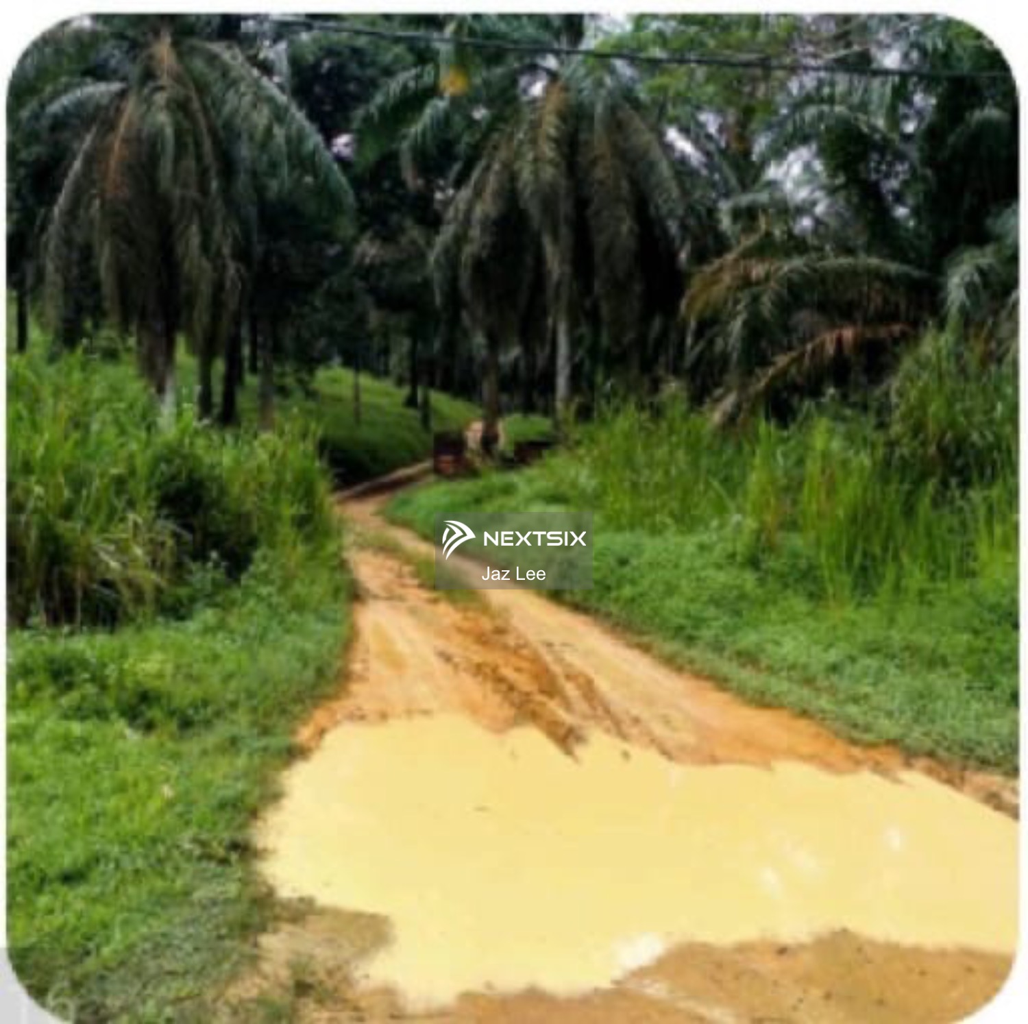 Agricultural Land For Sale in Kota Tinggi Johor