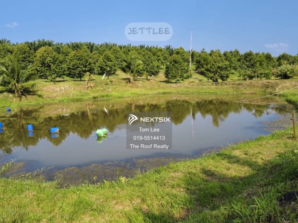 Agricultural Land For Sale in Jerantut Pahang - Image 5