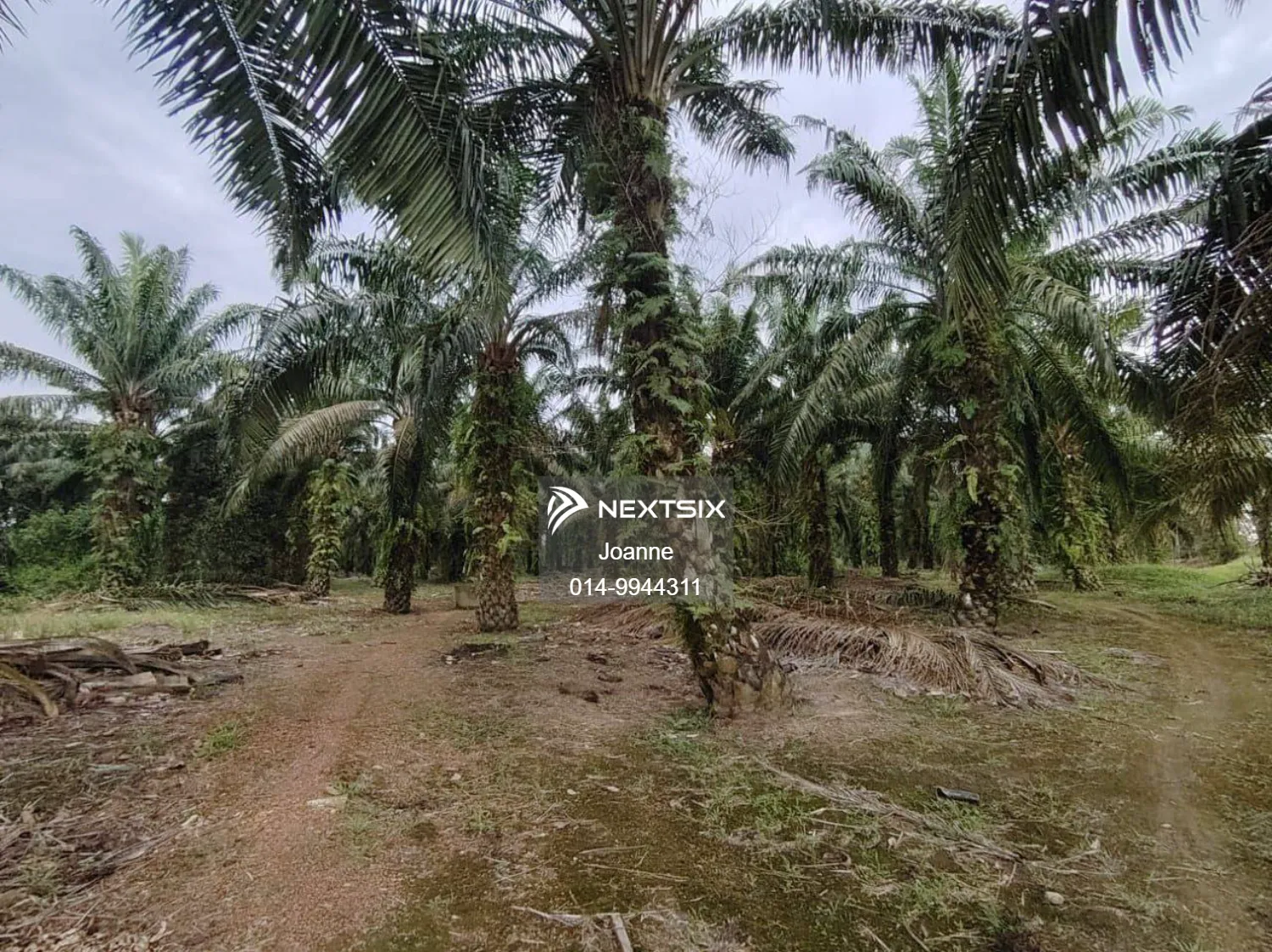 Agricultural Land For Sale in Ayer Baloi Johor