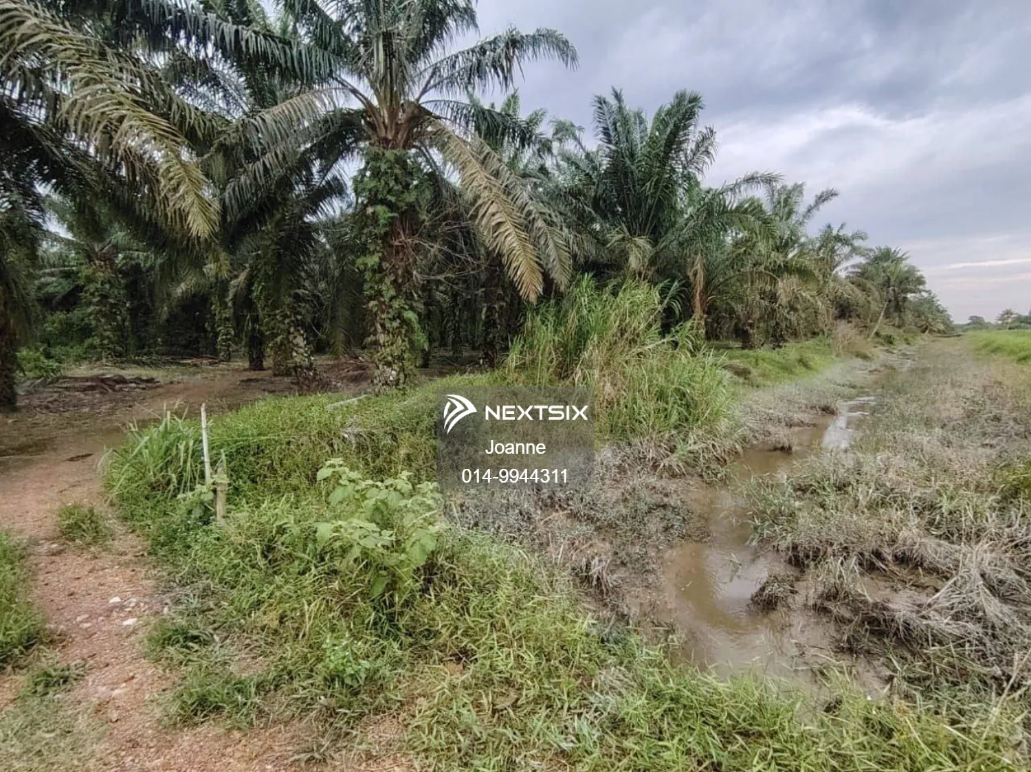 Agricultural Land For Sale in Ayer Baloi Johor - Image 5