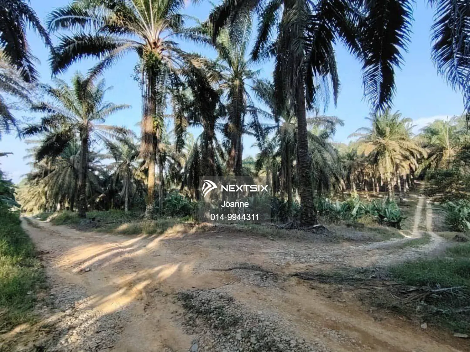 Agricultural Land For Sale in Layang-Layang Johor