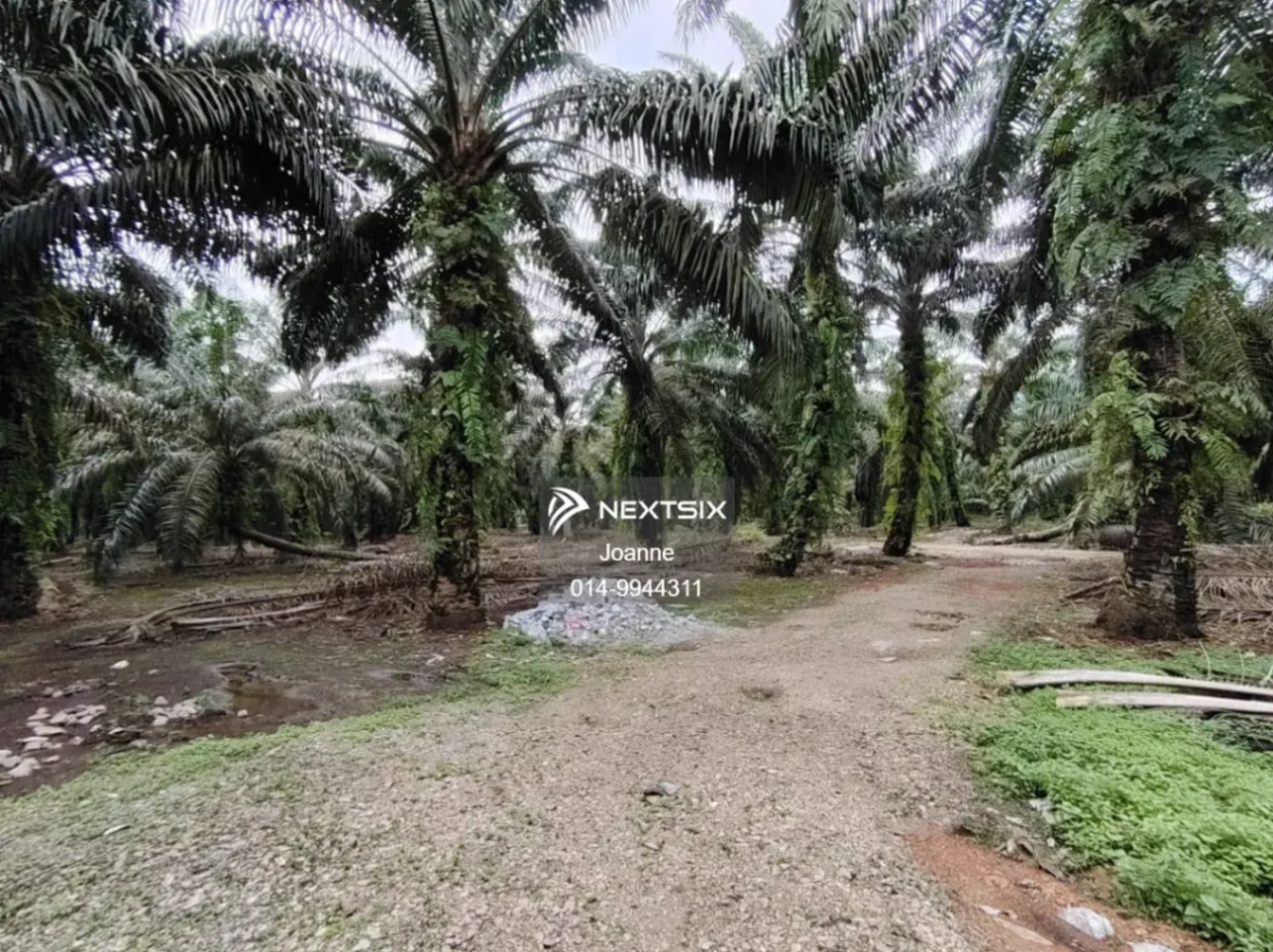 Residential Land For Sale in Pekan Nanas Johor