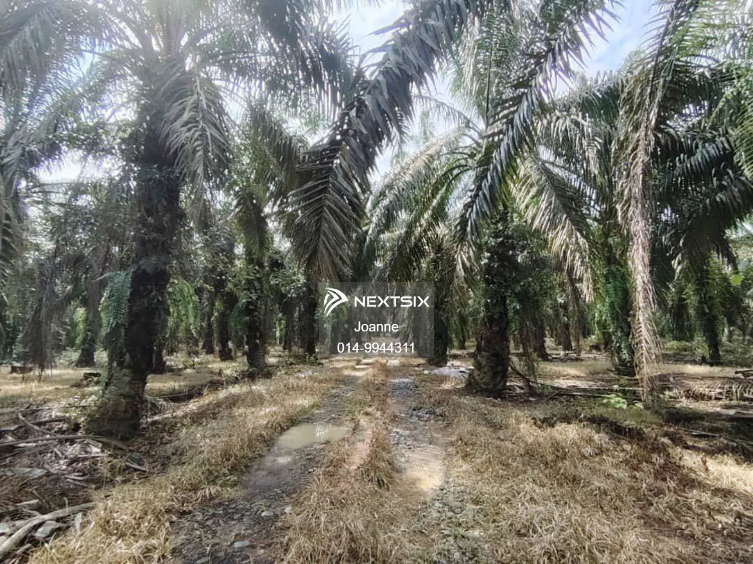 Agricultural Land For Sale in Layang-Layang Johor