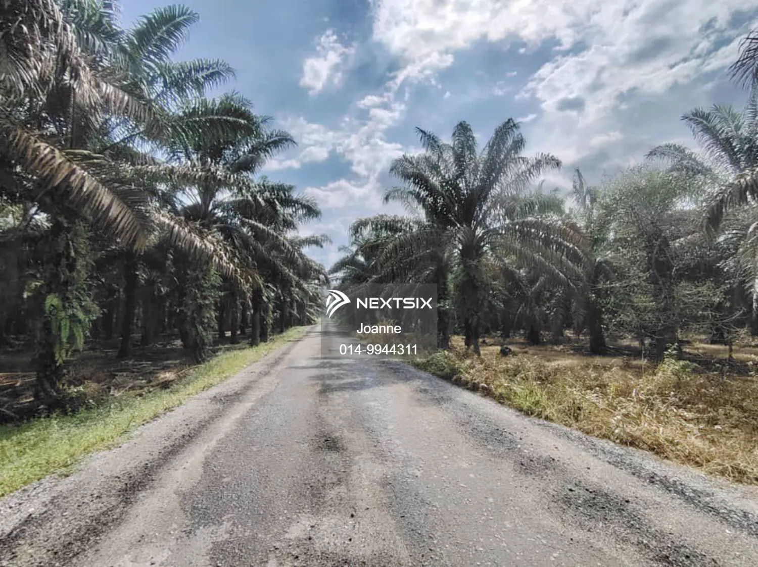 Agricultural Land For Sale in Layang-Layang Johor - Image 5