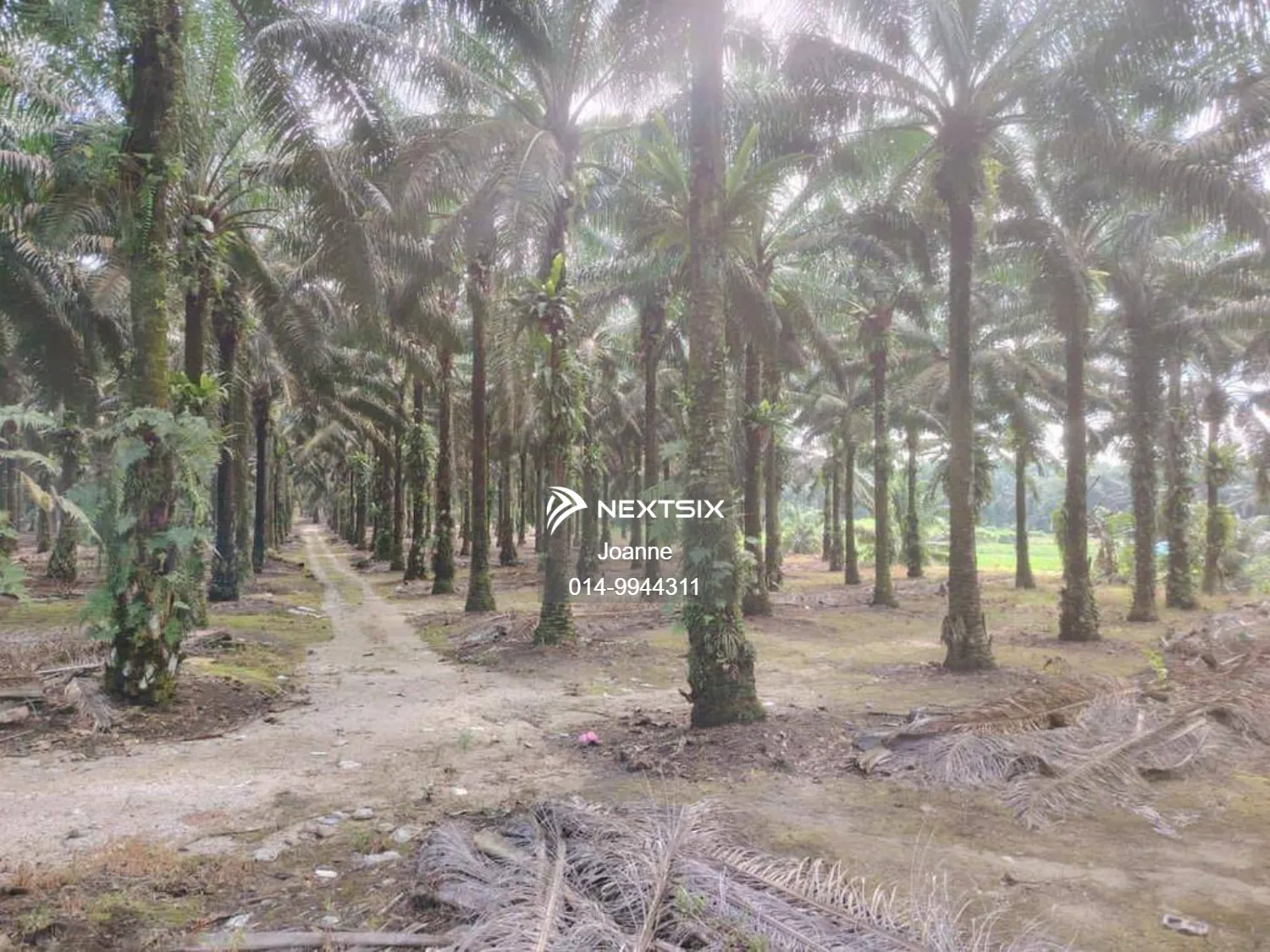 Industrial Land For Sale in Pekan Nanas Johor