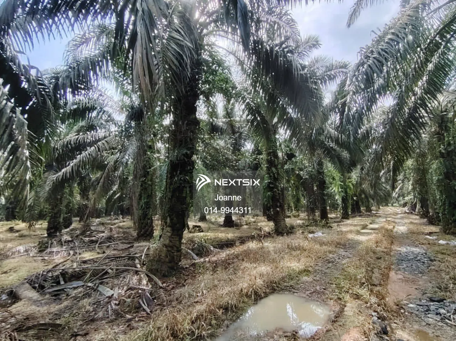 Industrial Land For Sale in Pekan Nanas Johor