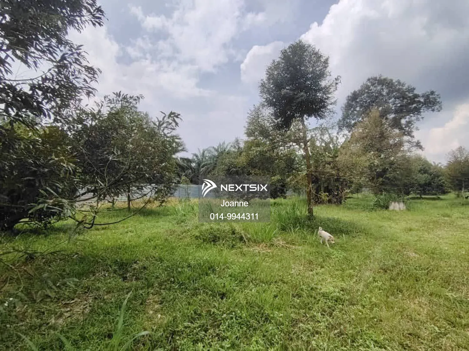 Agricultural Land For Sale in Simpang Rengam Johor - Image 5