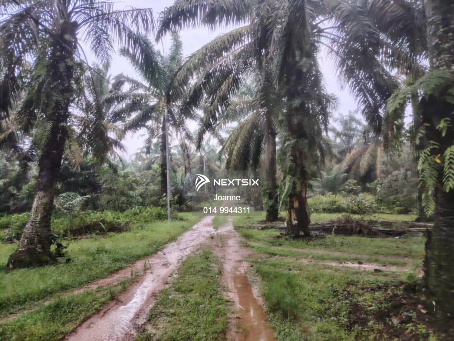 Industrial Land For Sale in Simpang Rengam Johor