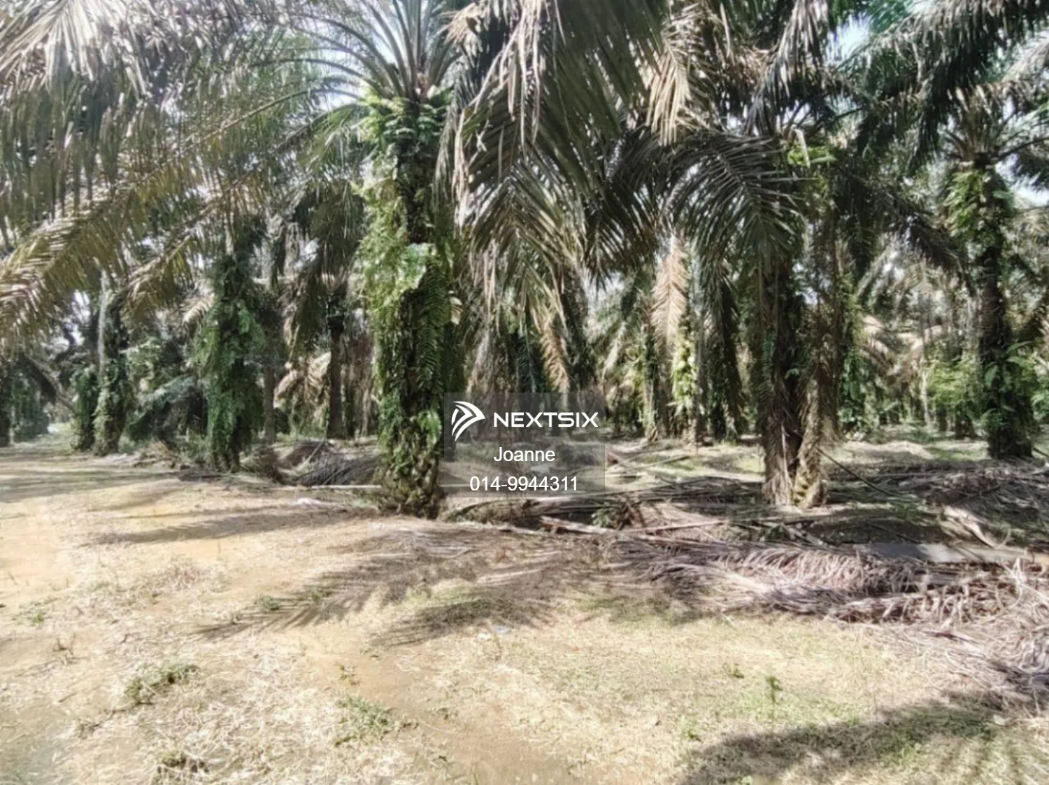 Agricultural Land For Sale in Layang-Layang Johor