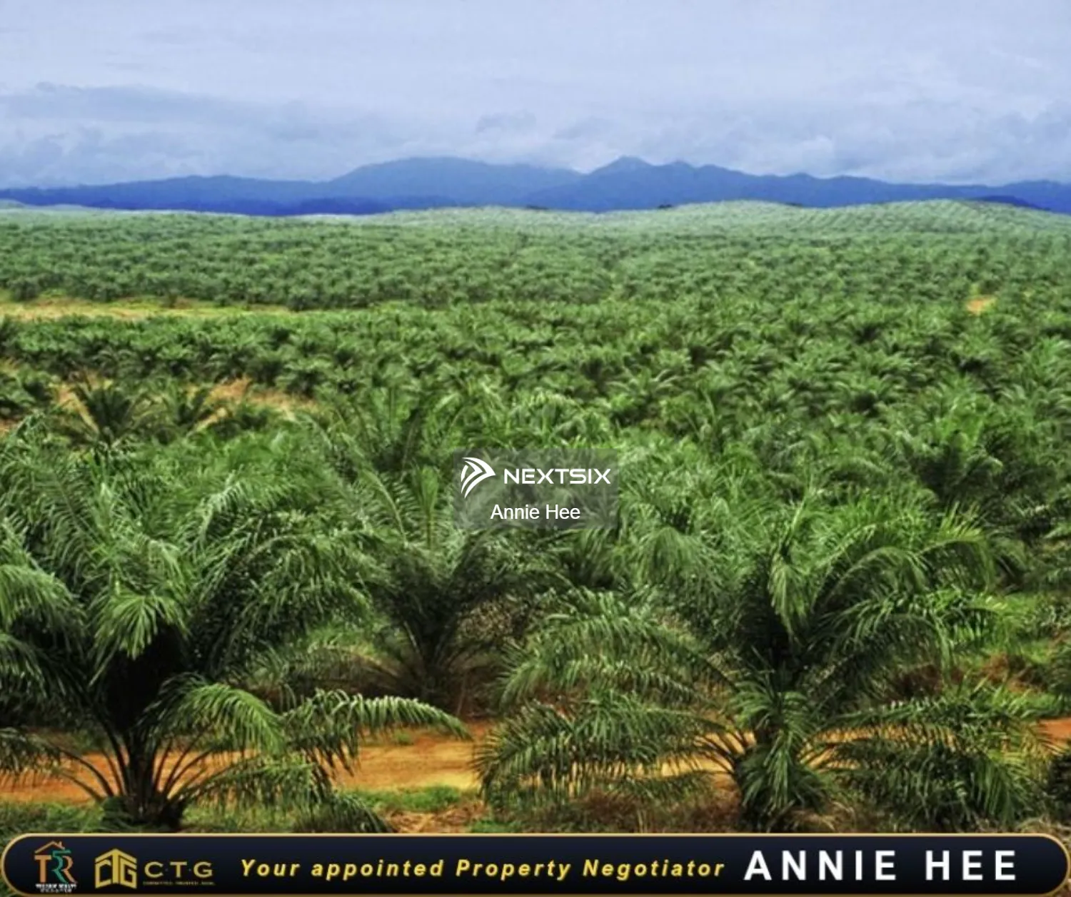 Agricultural Land For Sale in Kota Kinabalu Sabah