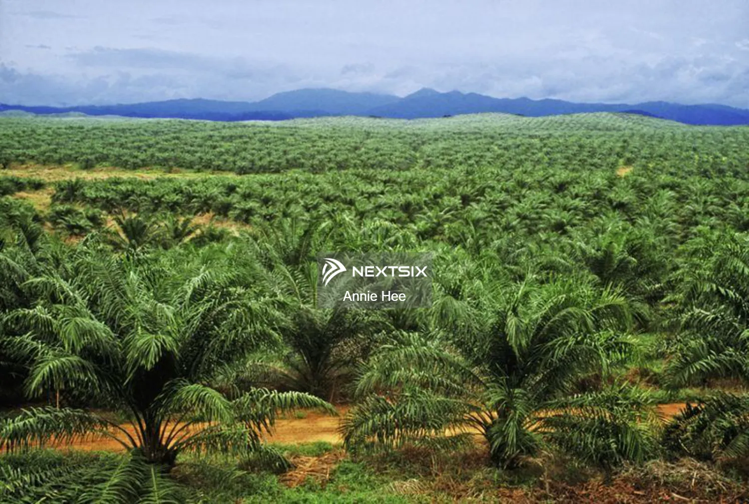 Agricultural Land For Sale in Kota Kinabalu Sabah - Image 2