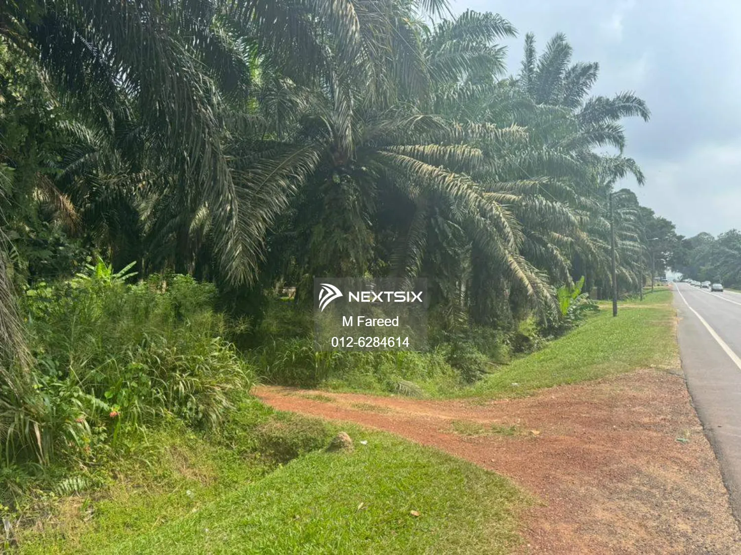 Agricultural Land For Sale in Bukit Pasir Johor