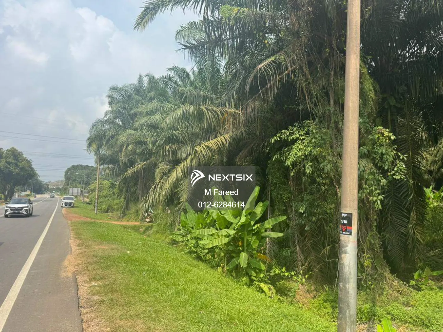 Agricultural Land For Sale in Bukit Pasir Johor - Image 5