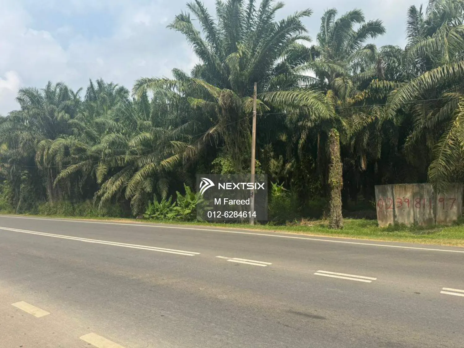 Agricultural Land For Sale in Bukit Pasir Johor - Image 6