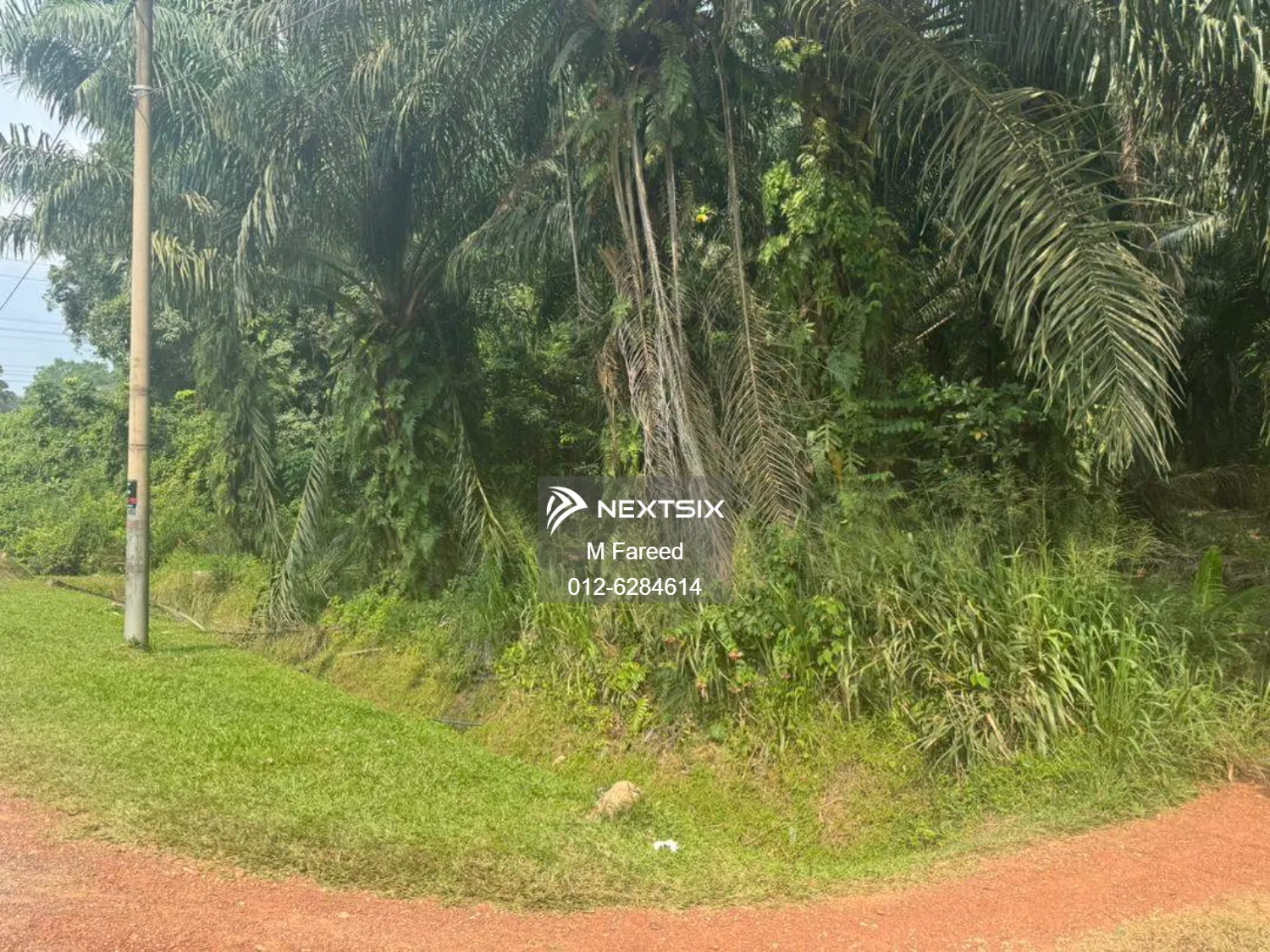 Agricultural Land For Sale in Bukit Pasir Johor - Image 8