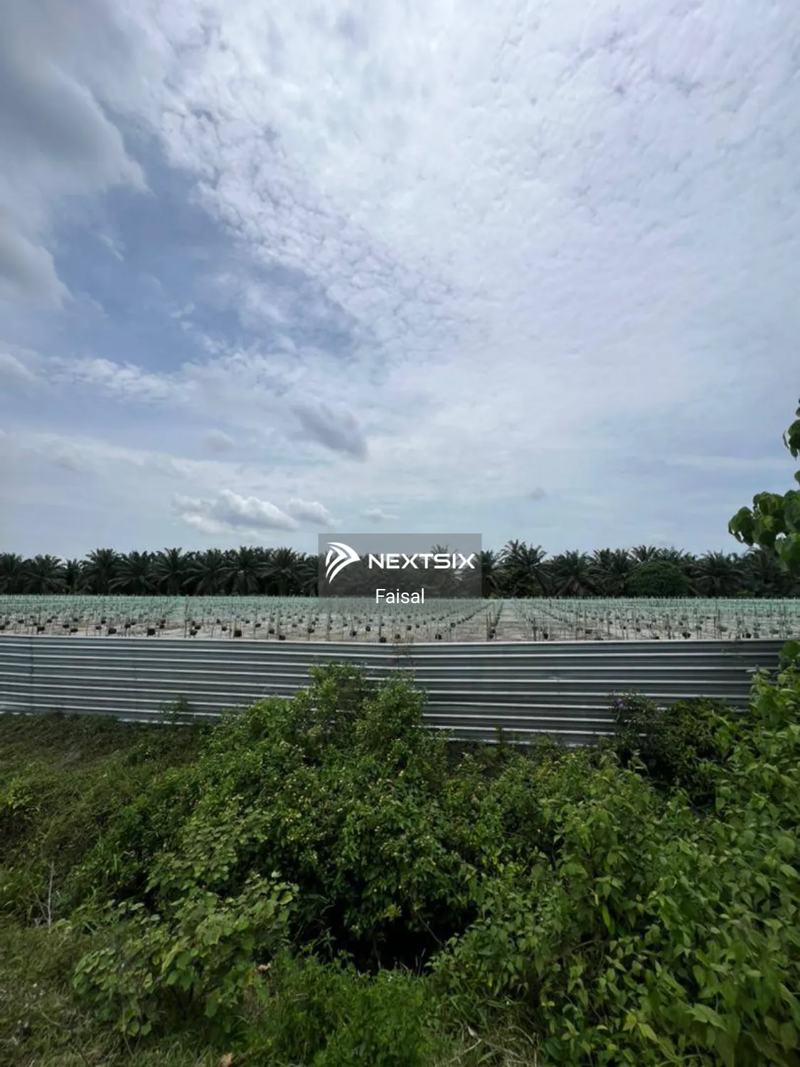 Agricultural Land For Sale in Nibong Tebal Penang - Image 6