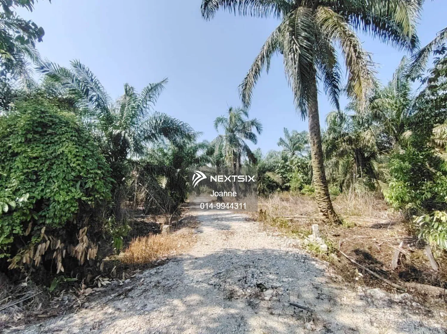 Agricultural Land For Sale in Pekan Nanas Johor