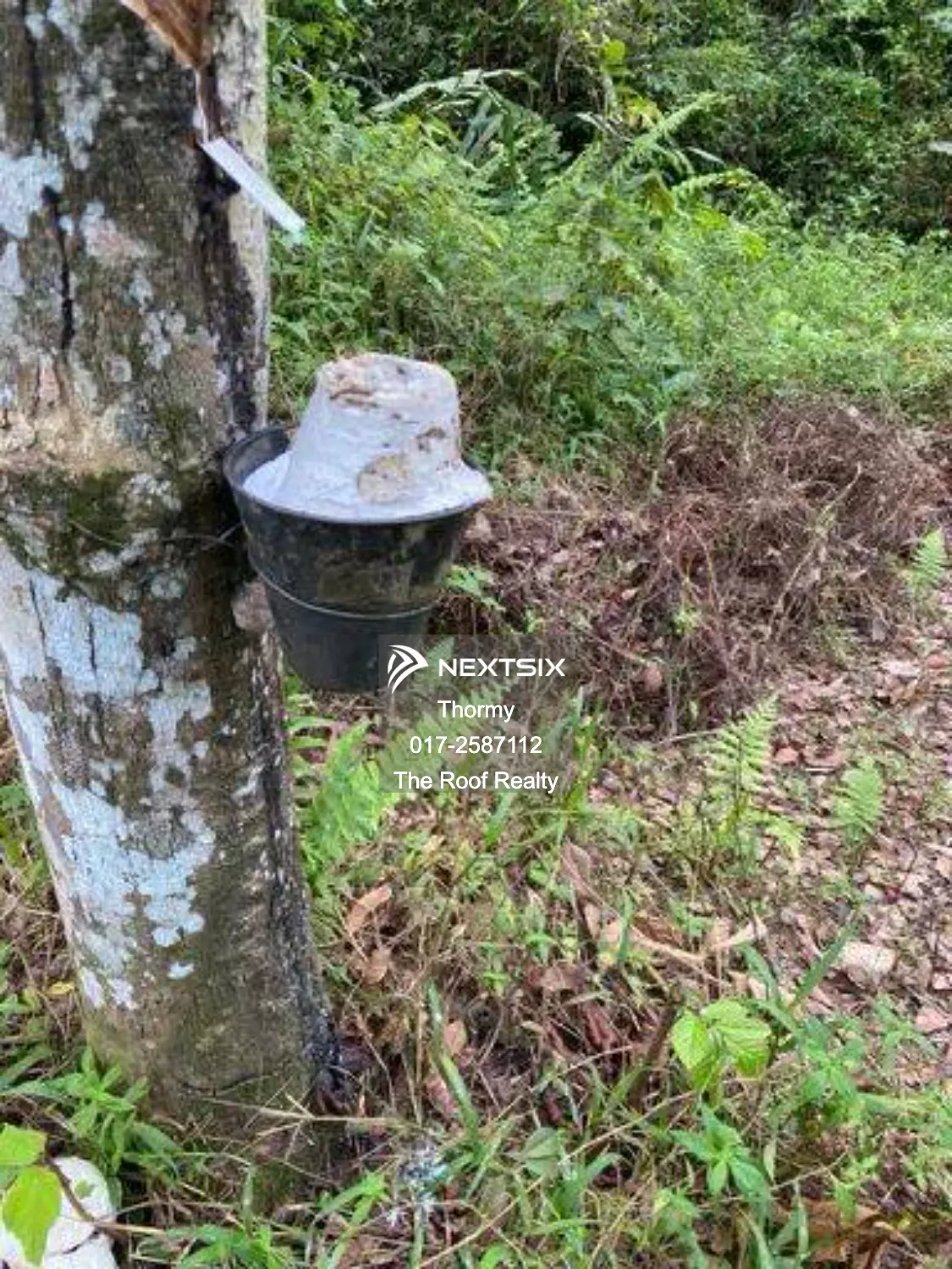 Agricultural Land For Sale in Bentong Pahang