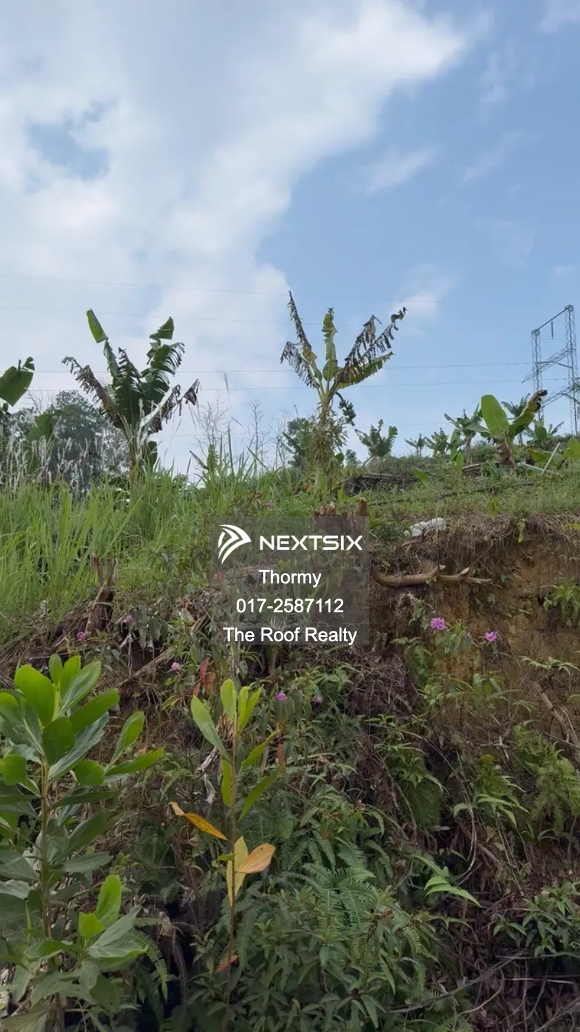 Agricultural Land For Sale in Bentong Pahang - Image 5