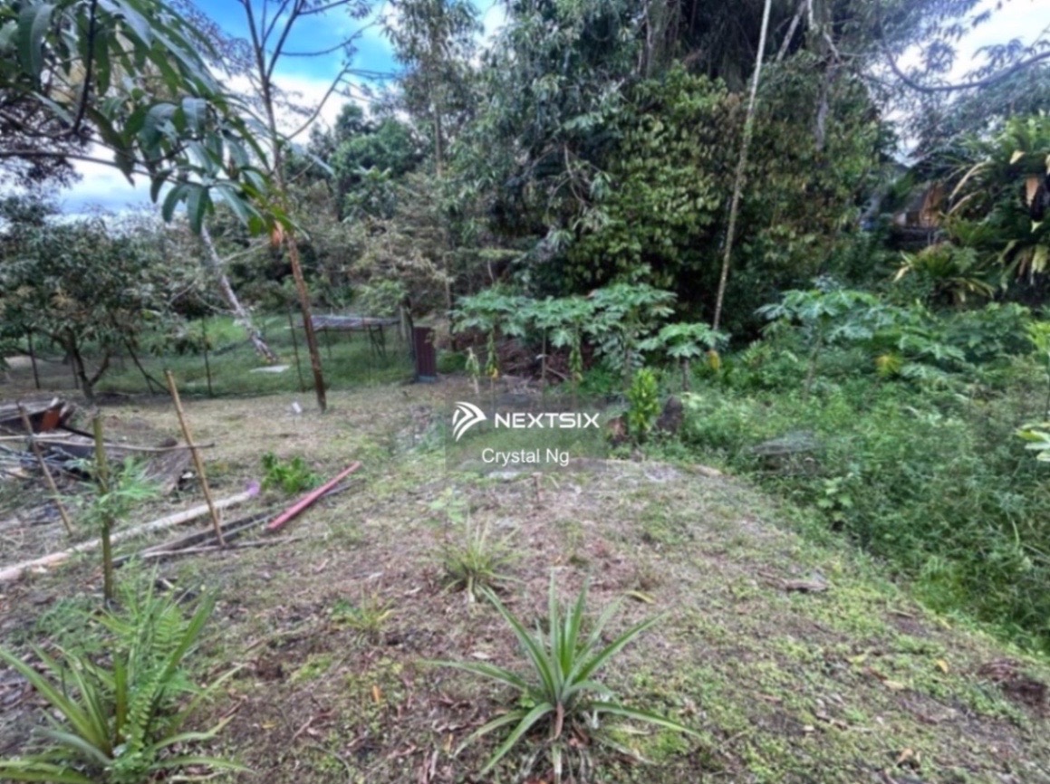 Agricultural Land For Sale in Kuching Sarawak